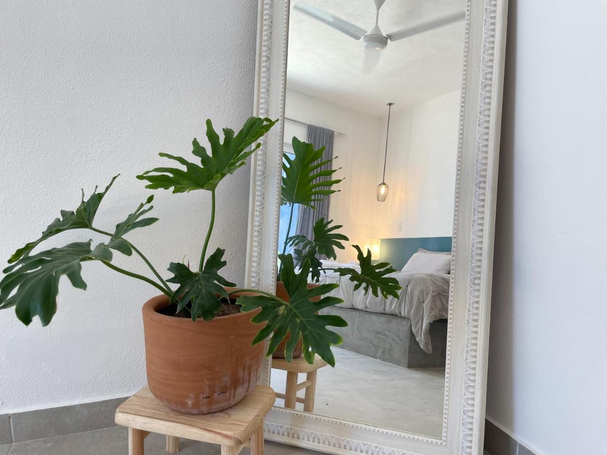 La Ventana Hostel Ngoại thất bức ảnh
